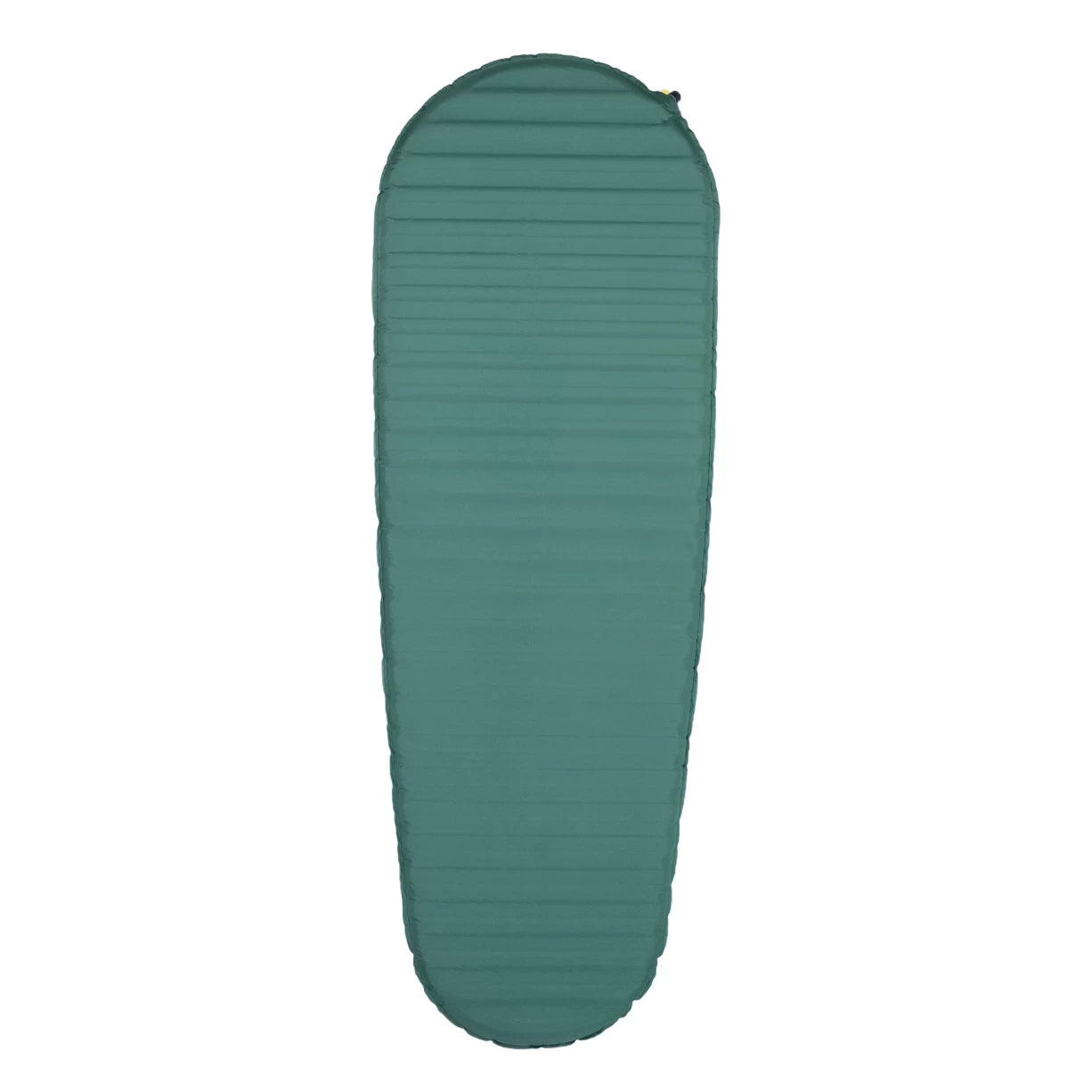 Regular WideGreen