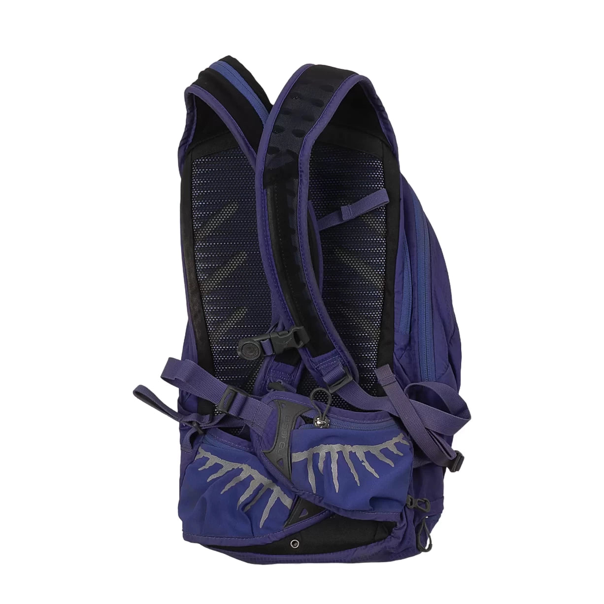 10 LPurple