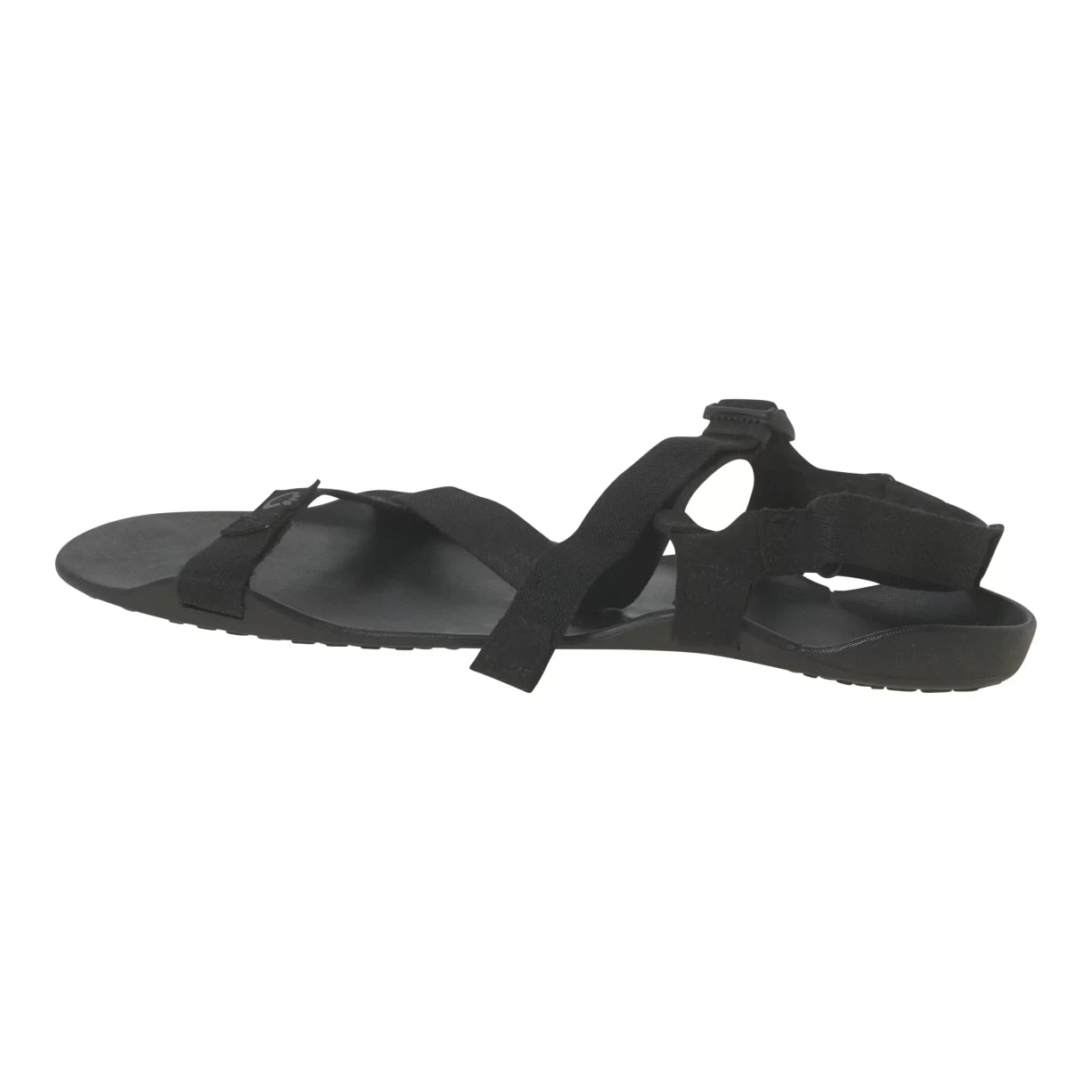12Black
