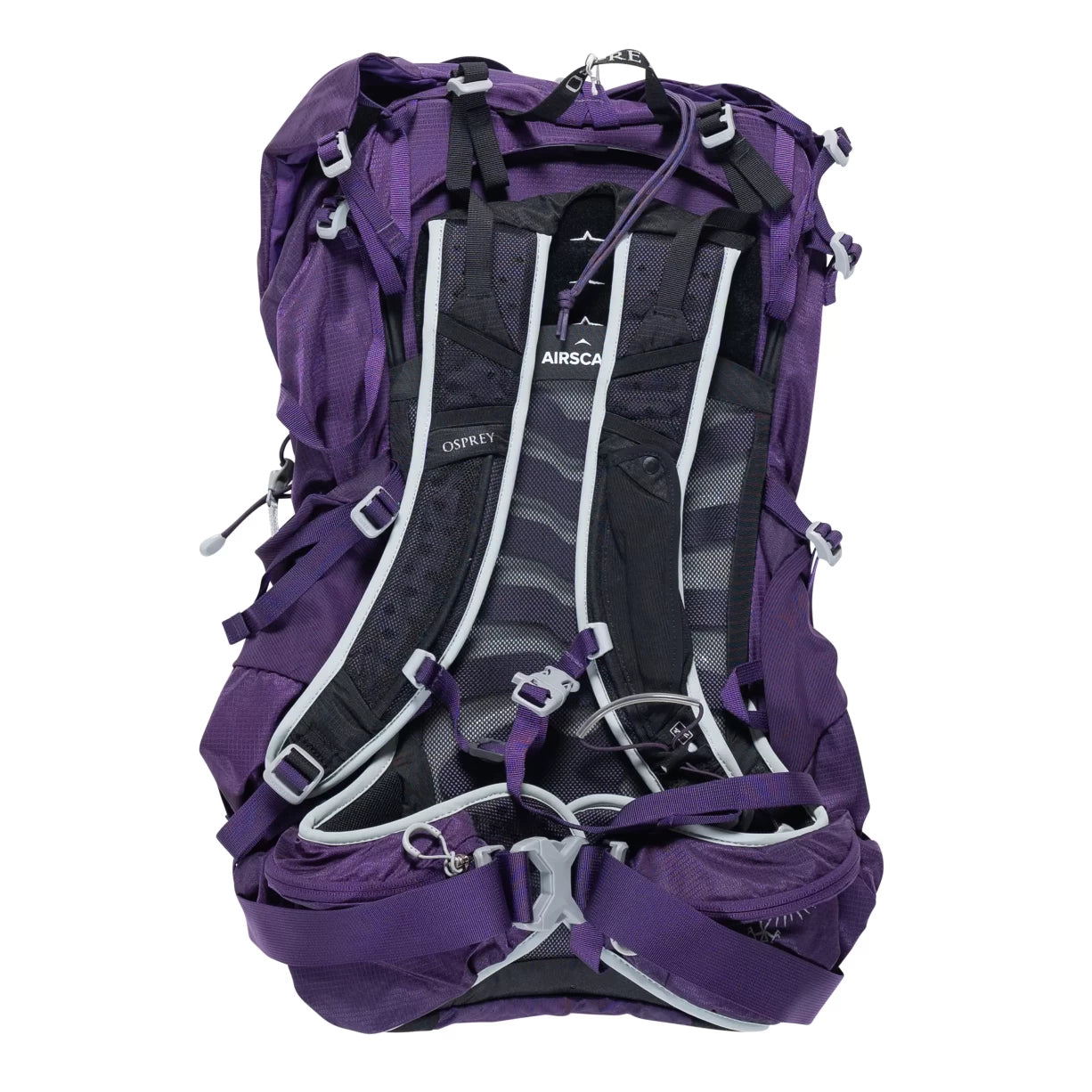 M/LPurple