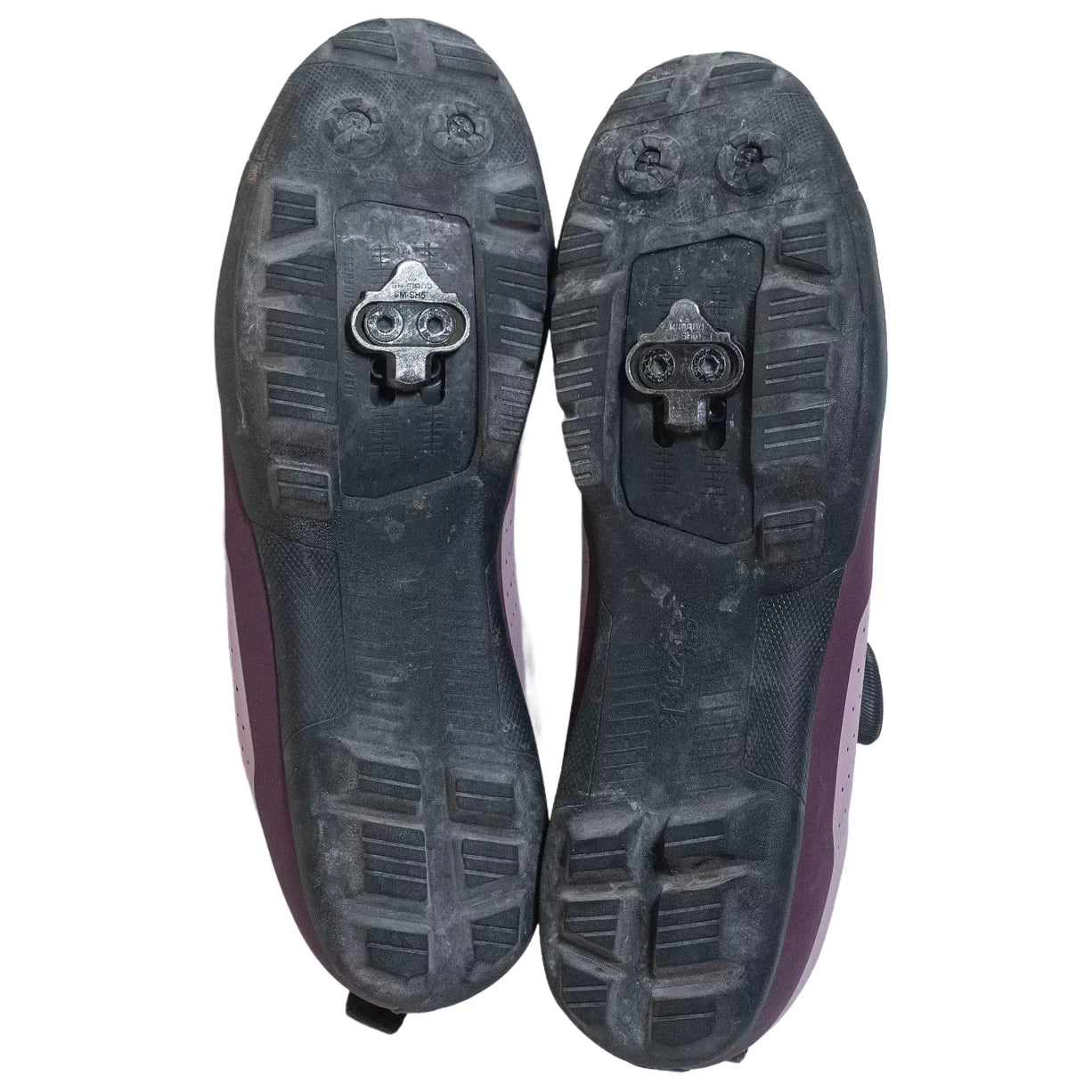 41.0Purple