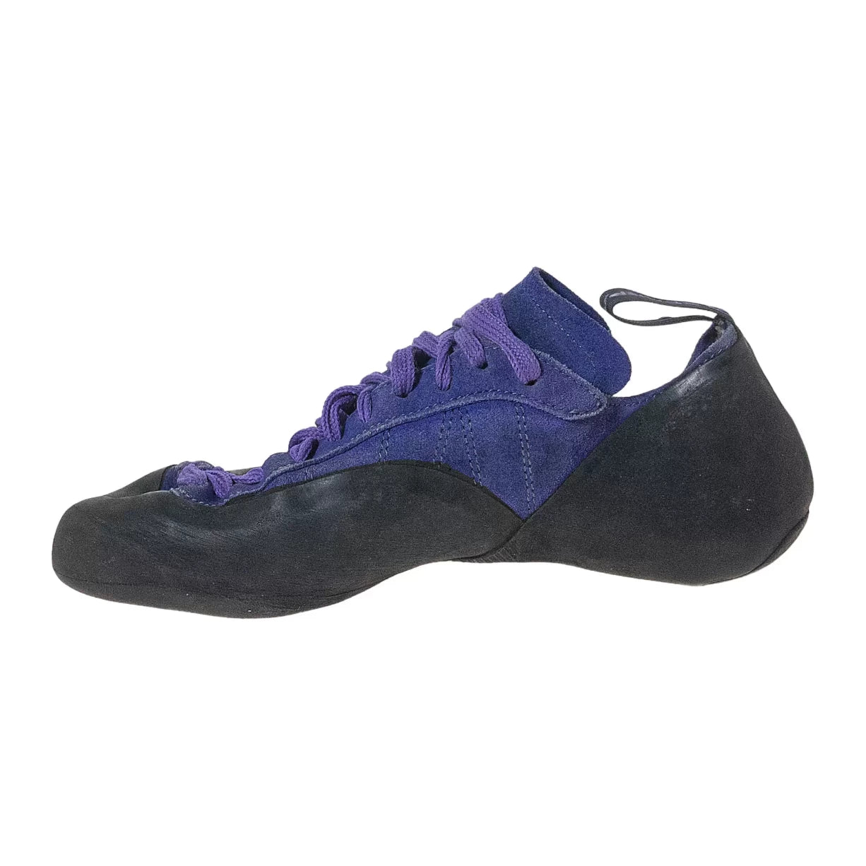 41.5Purple