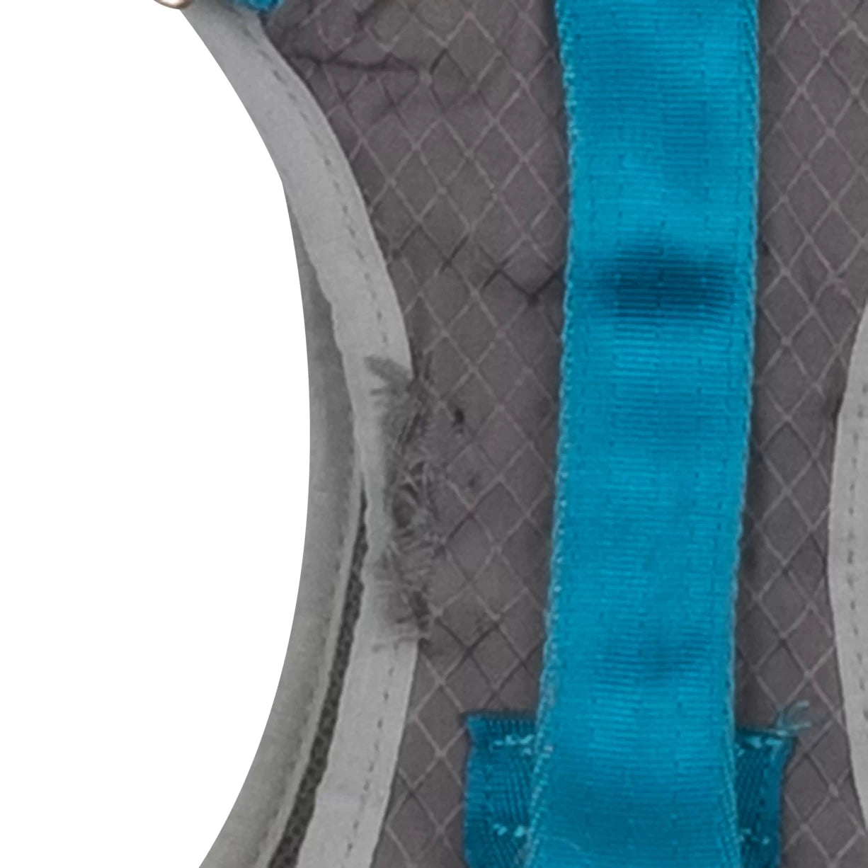 LGrey/Blue