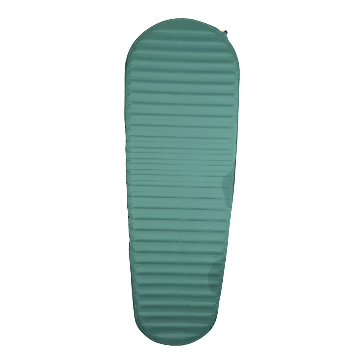 Regular WideGreen