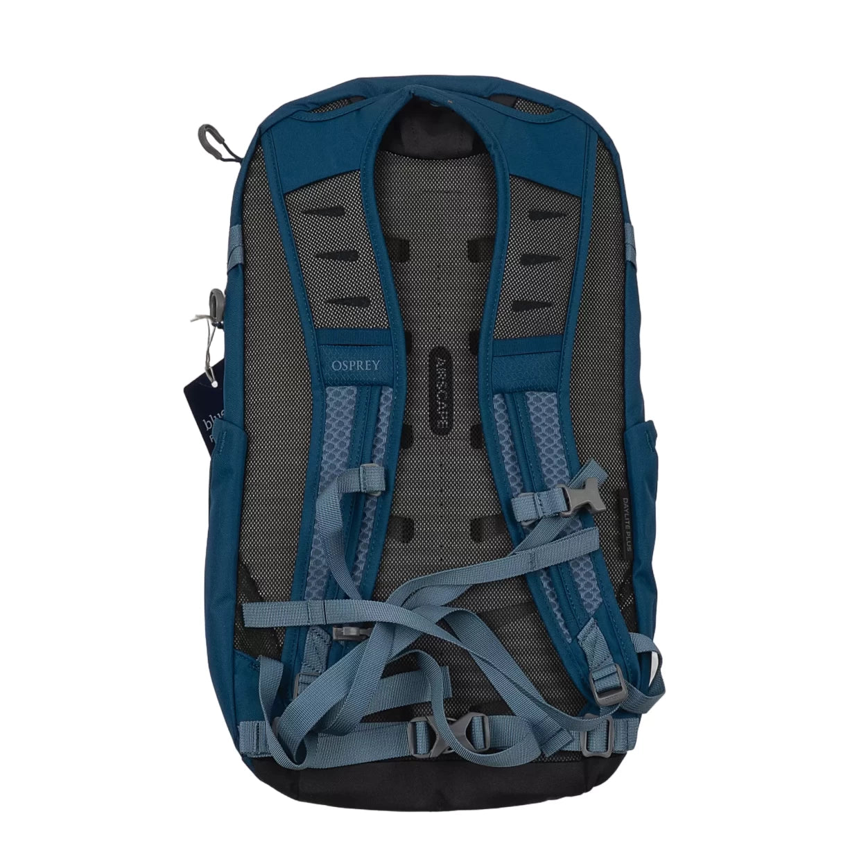 20 LBlue