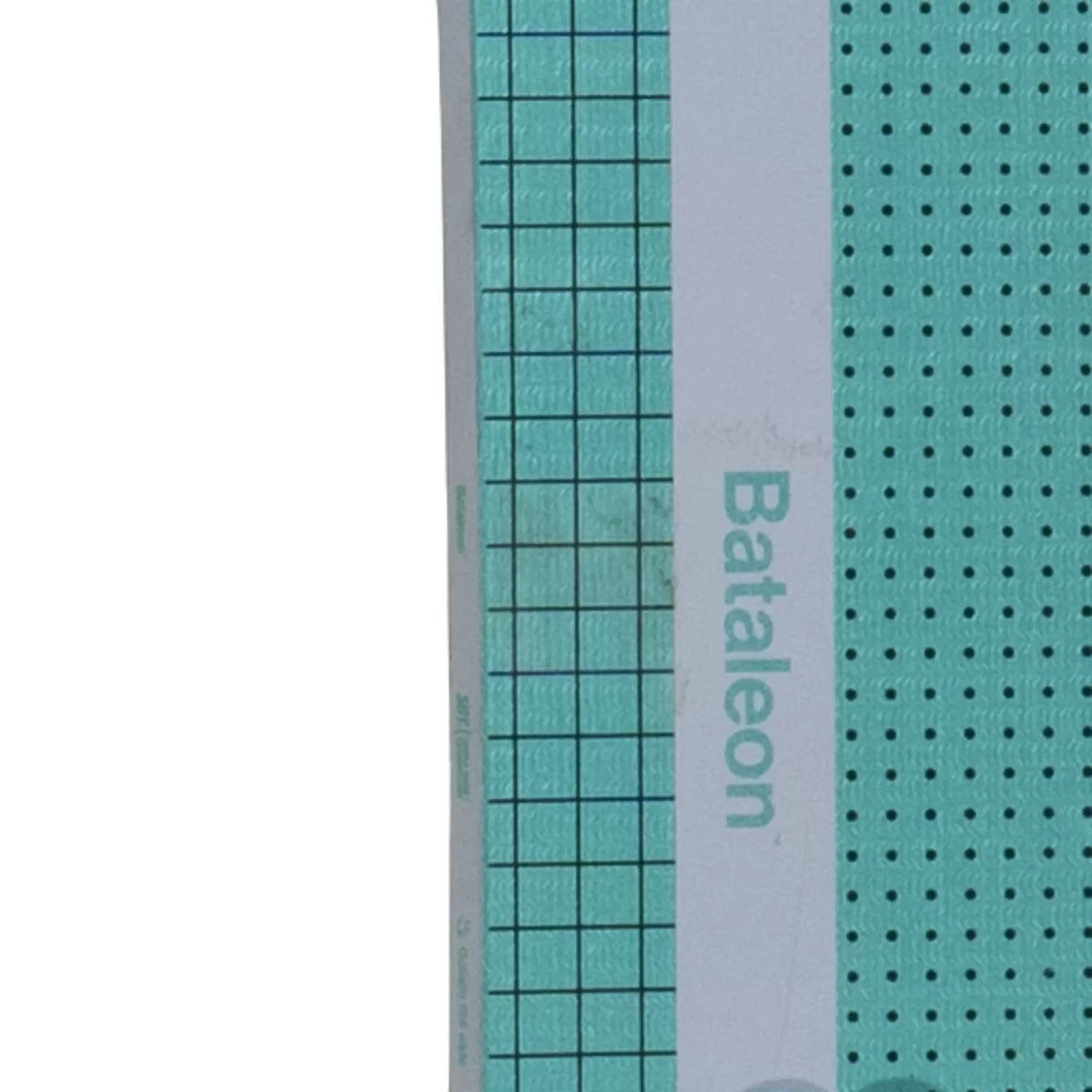 164cmWhite/Green