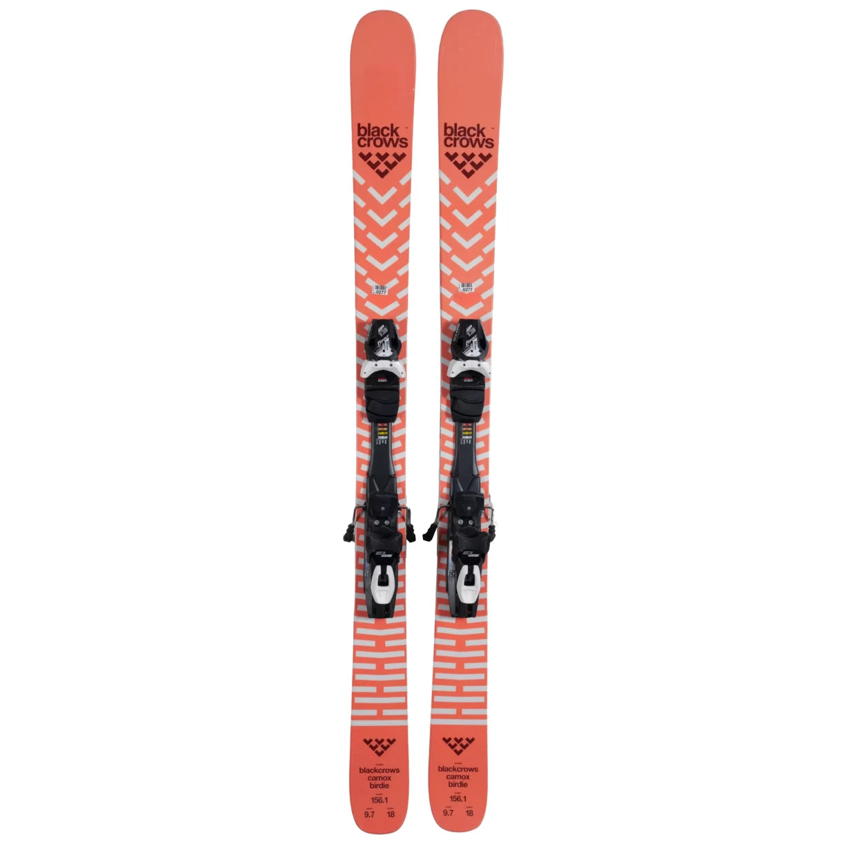 156cmOrange/White