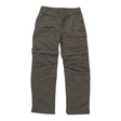 8Olive