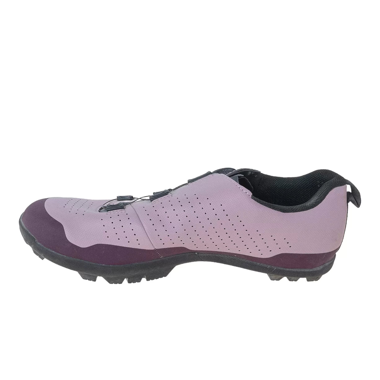 41.0Purple