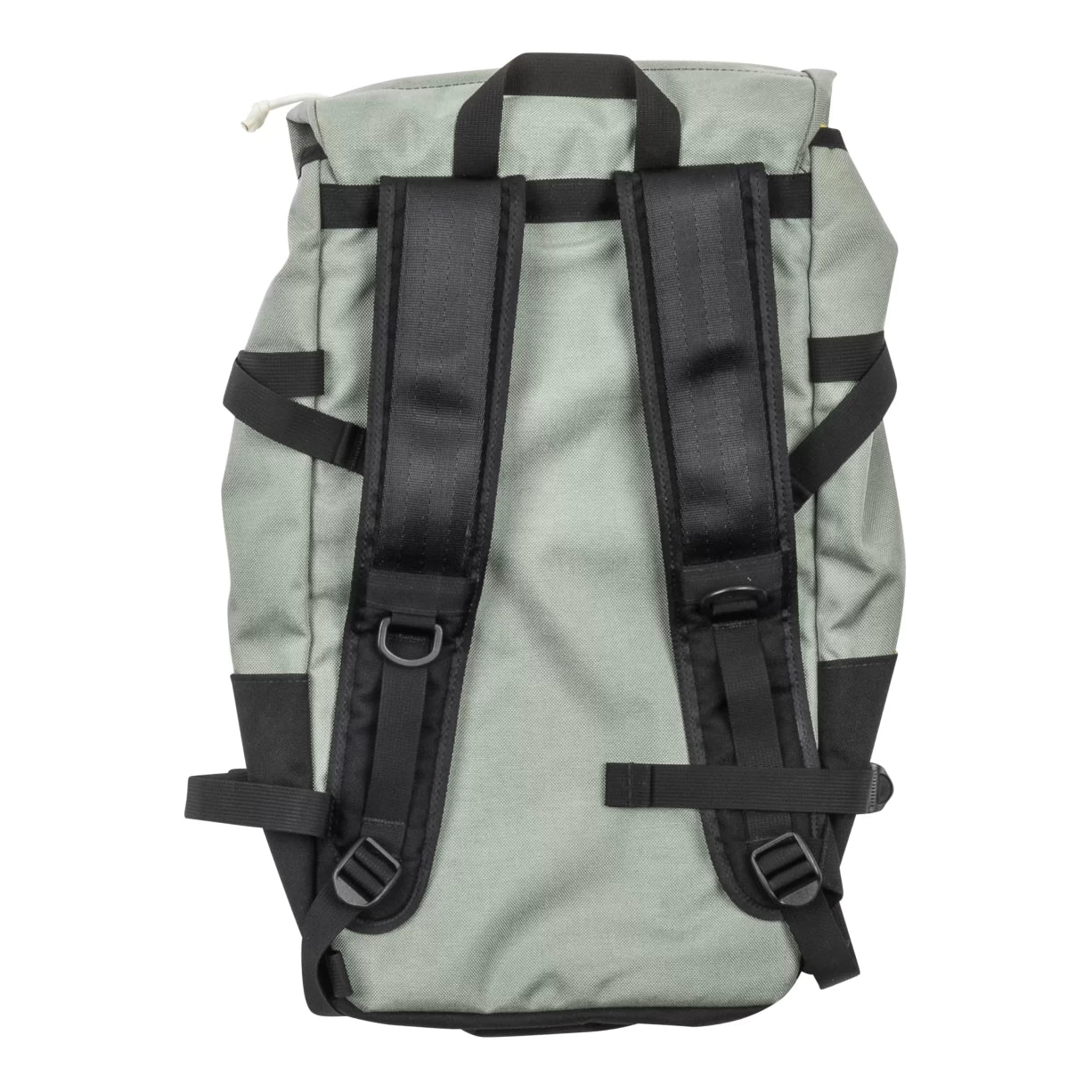 24 LGreenish Grey
