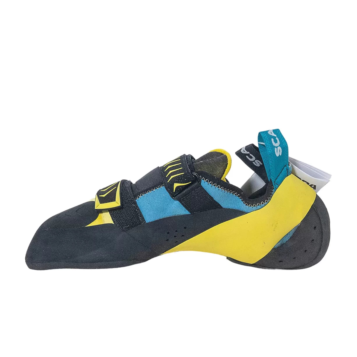 45.5Blue/Yellow