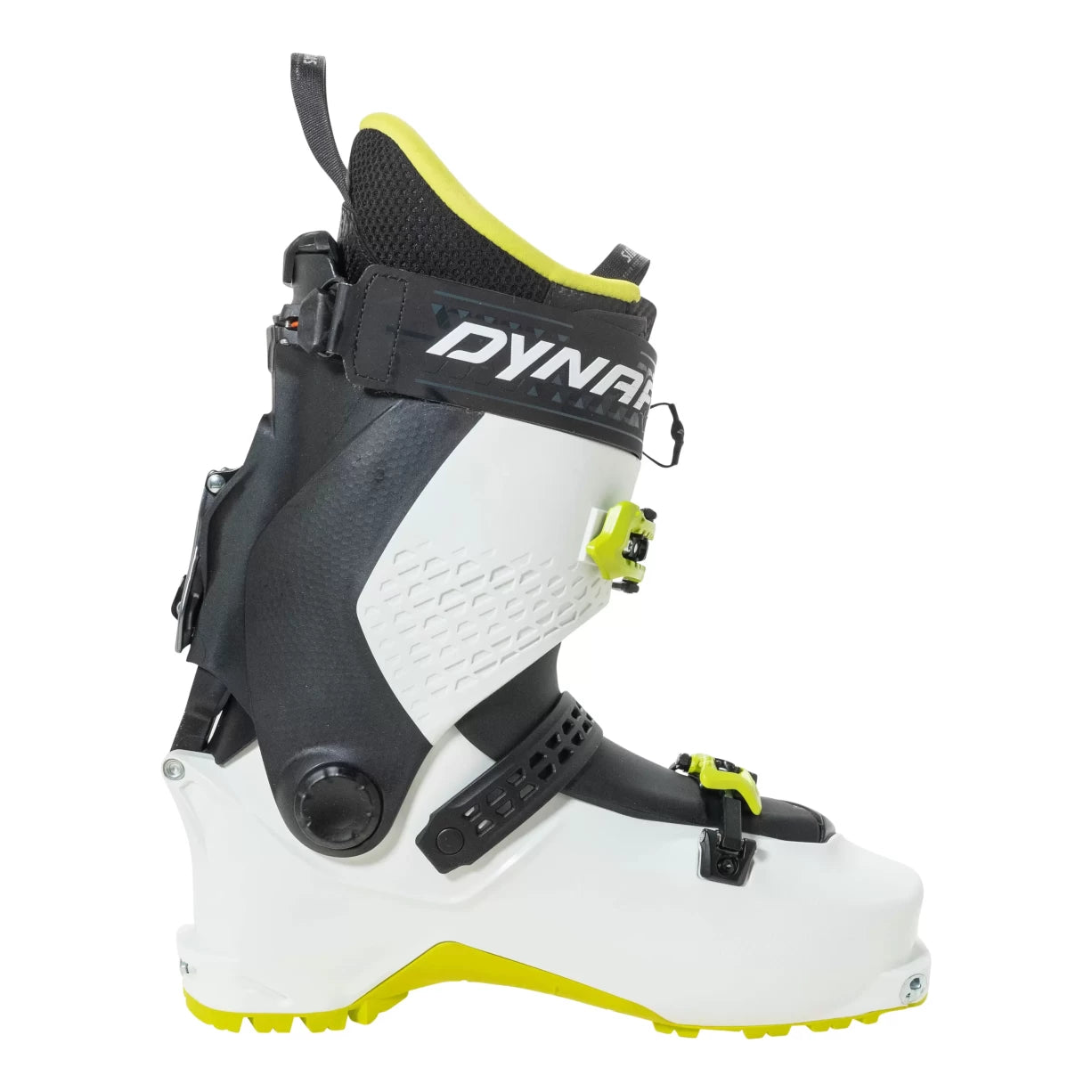 29.5White