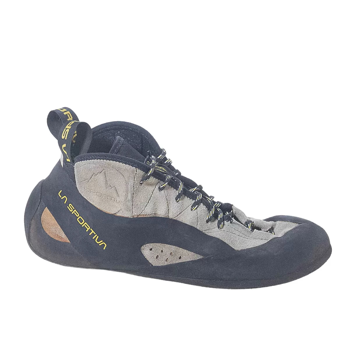 43.0Gray