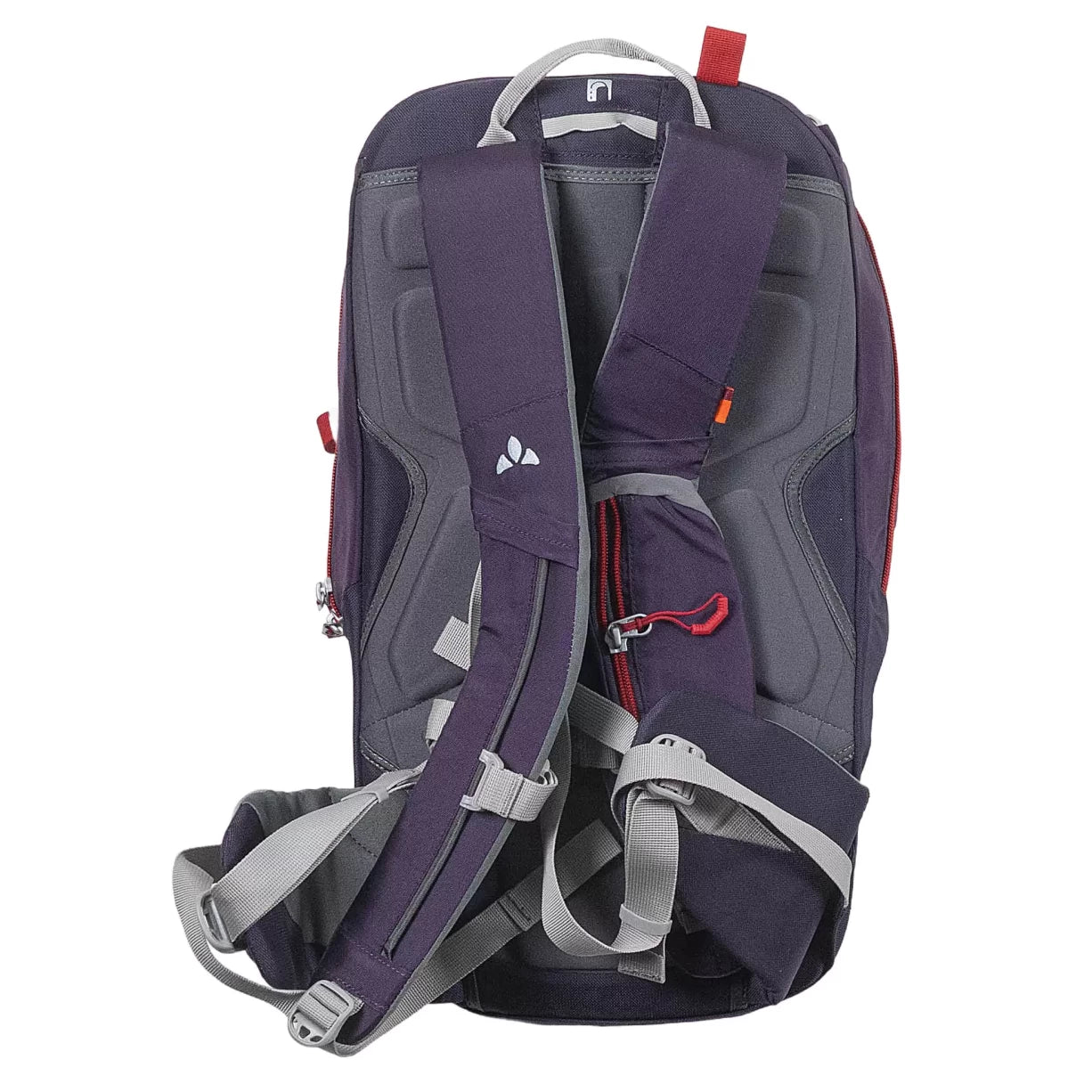 18 LPurple
