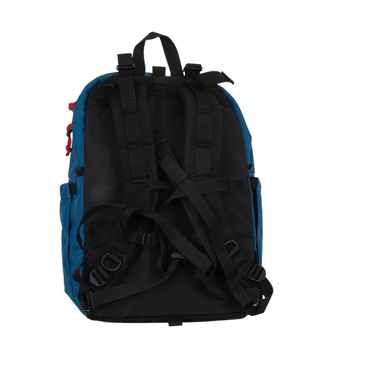 25 LBlue