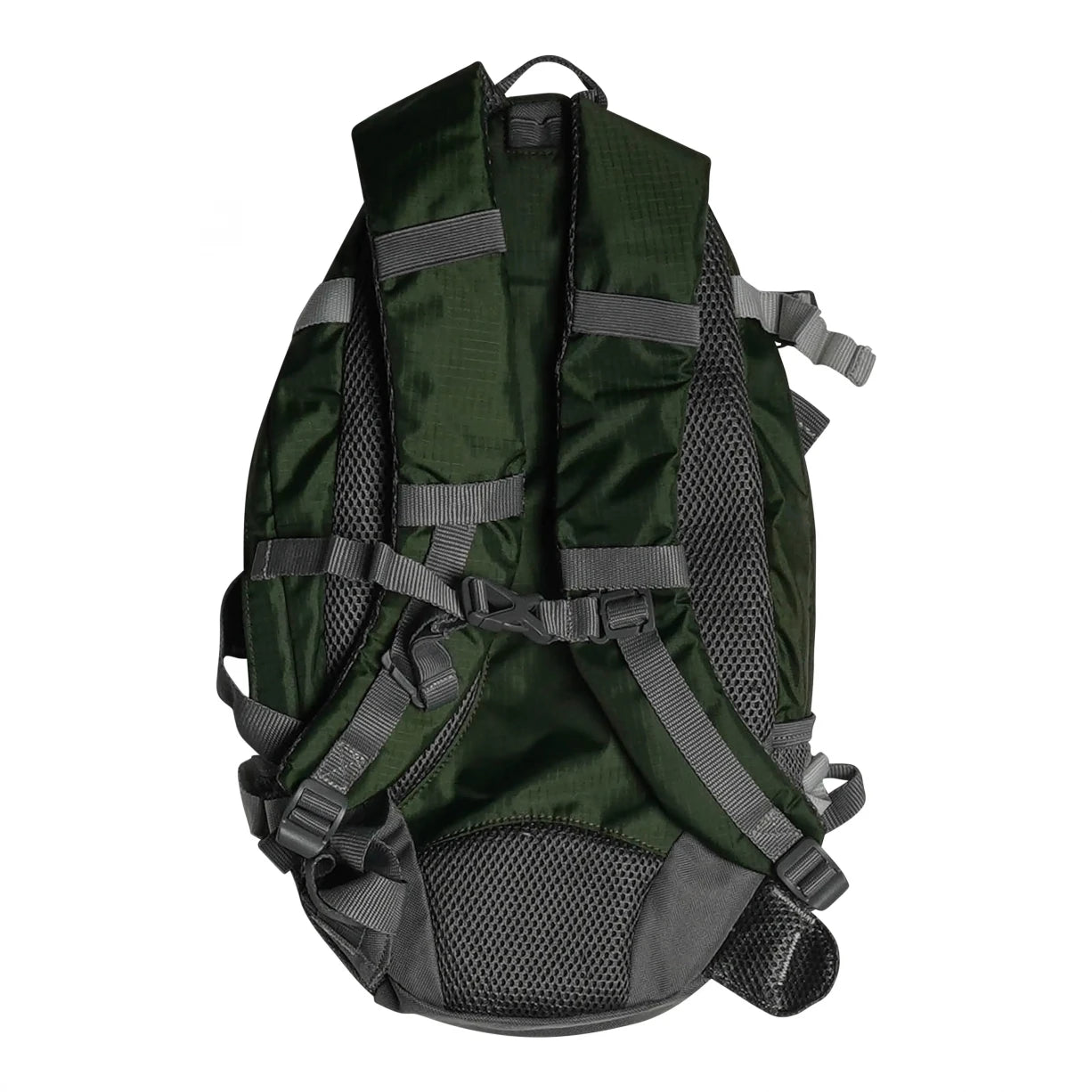 13 LGreen