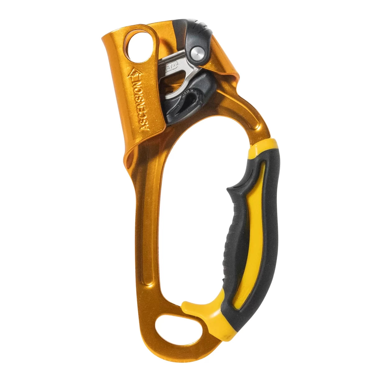 OneGold
