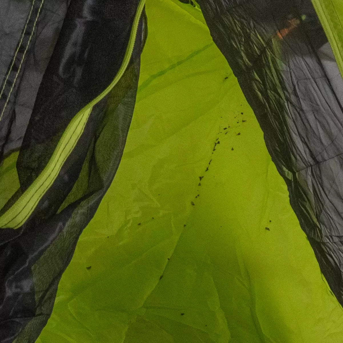 1 PersonGreen