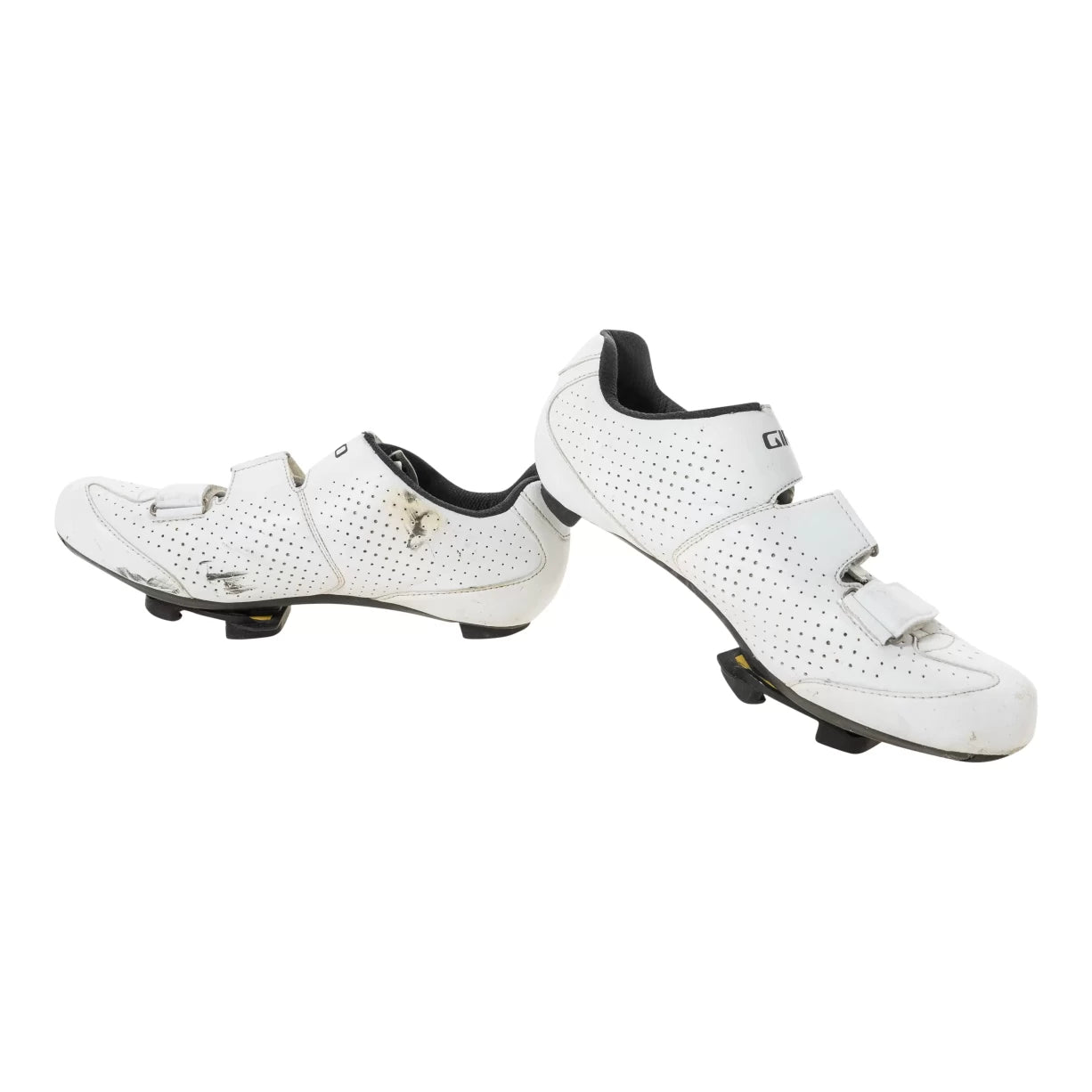 44.0White