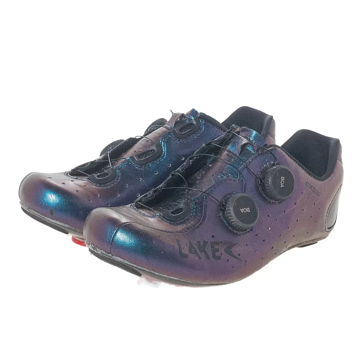 41.0Purple/Blue