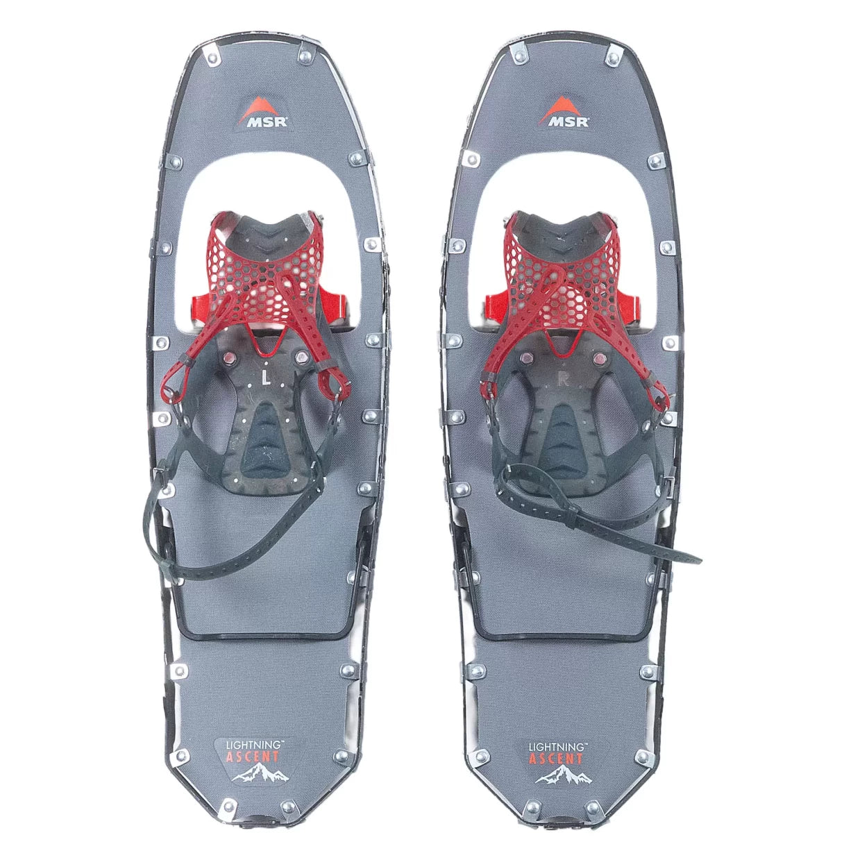 25inRed/Gray