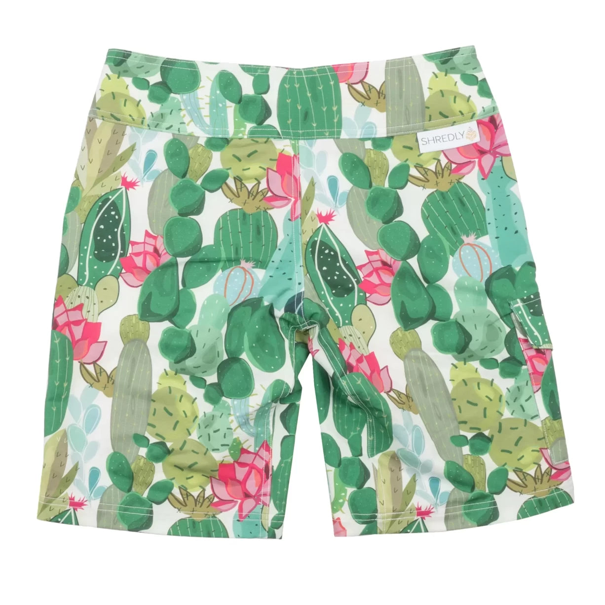 6Cactus