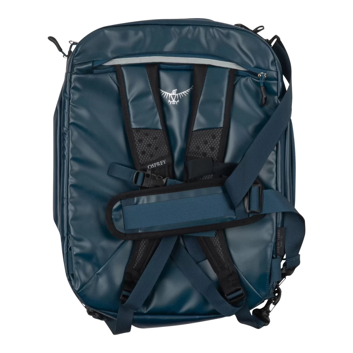36 LBlue