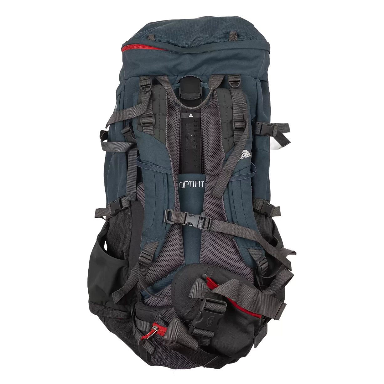 55 LBlue/Green