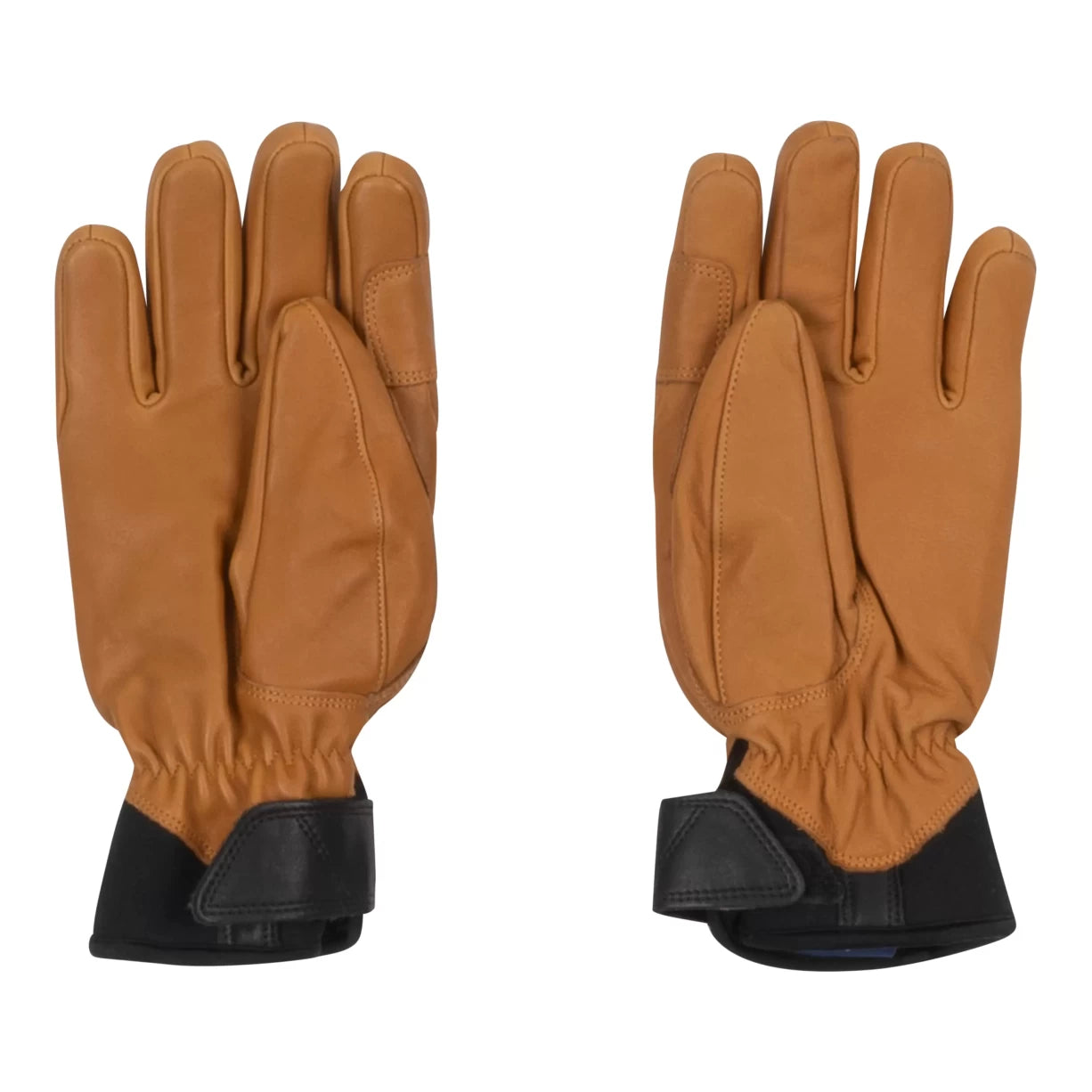 9Light Brown