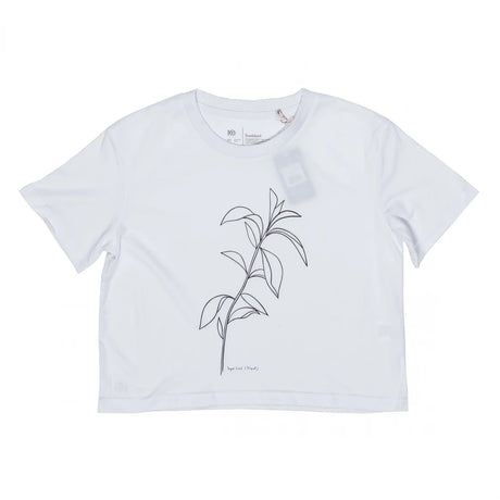 XSWhite