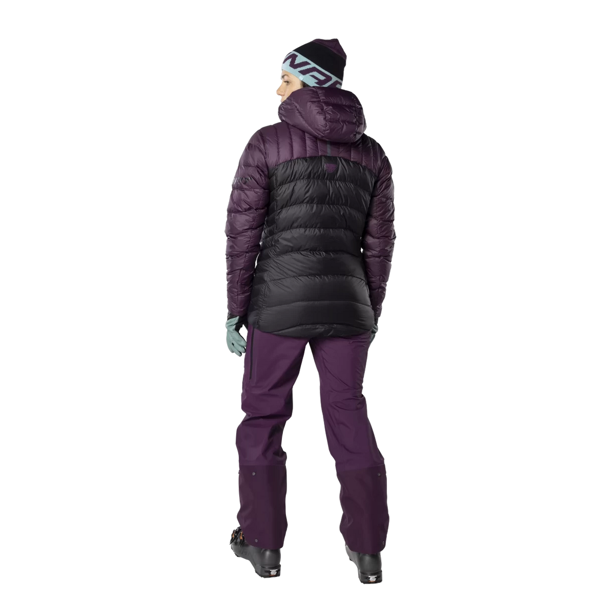 LRoyal Purple