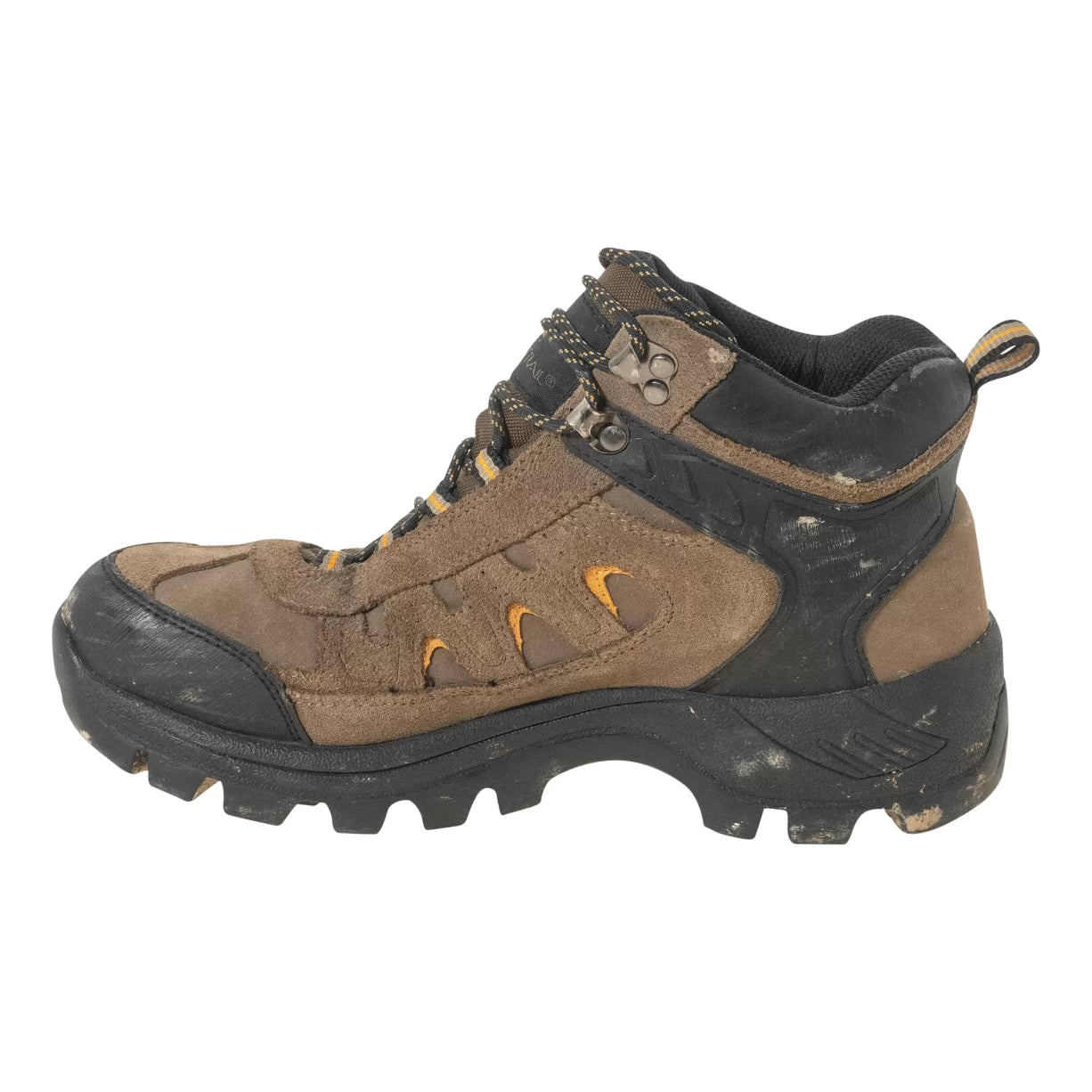 8Brown