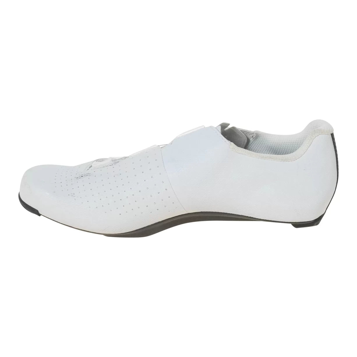 41.0White