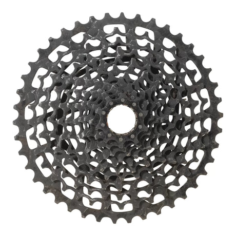 42Black
