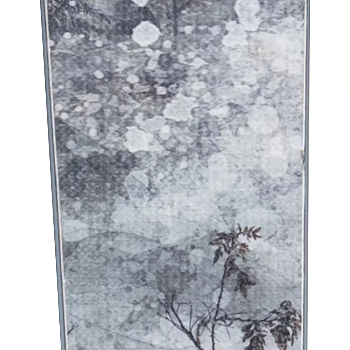 155cmGray