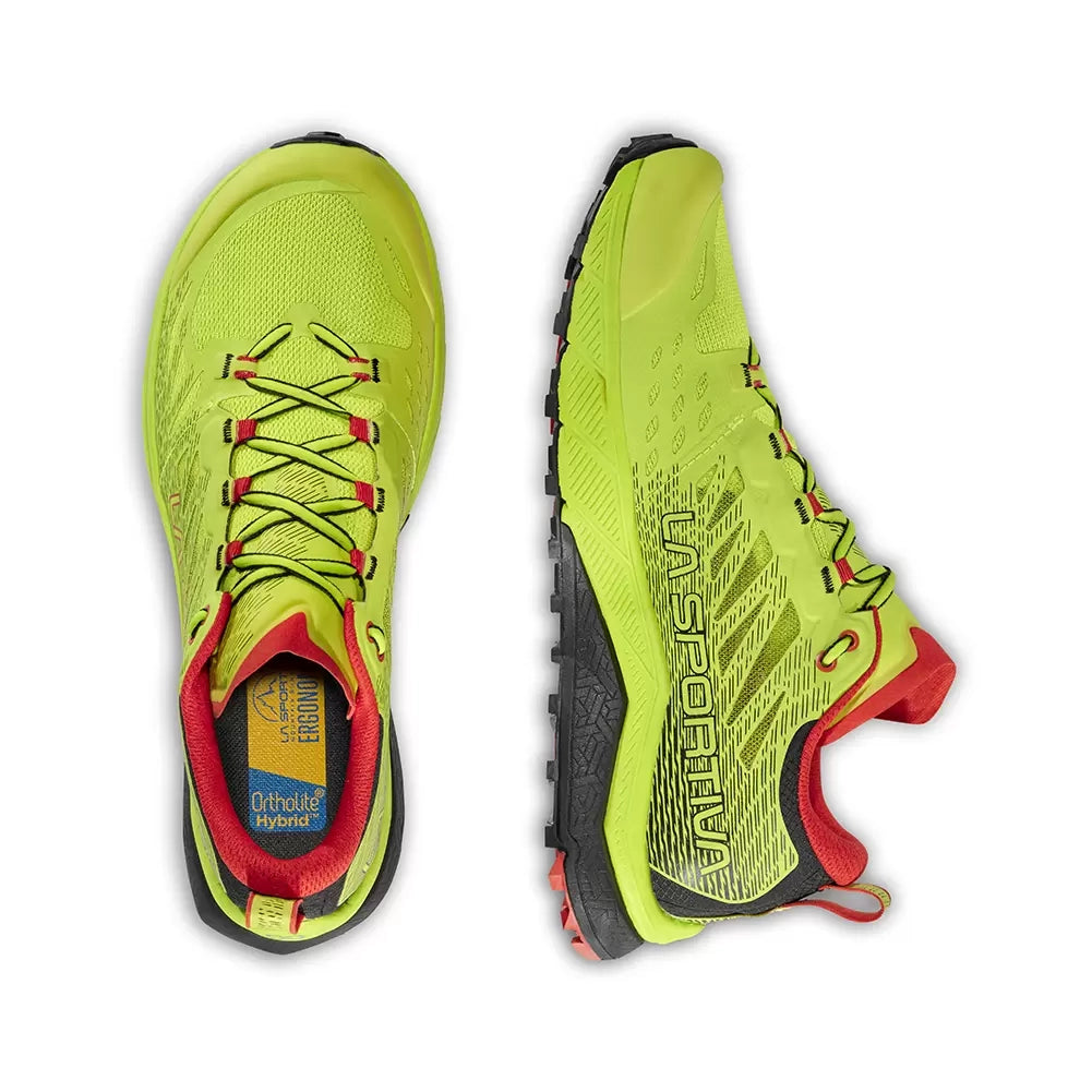41.0Neon