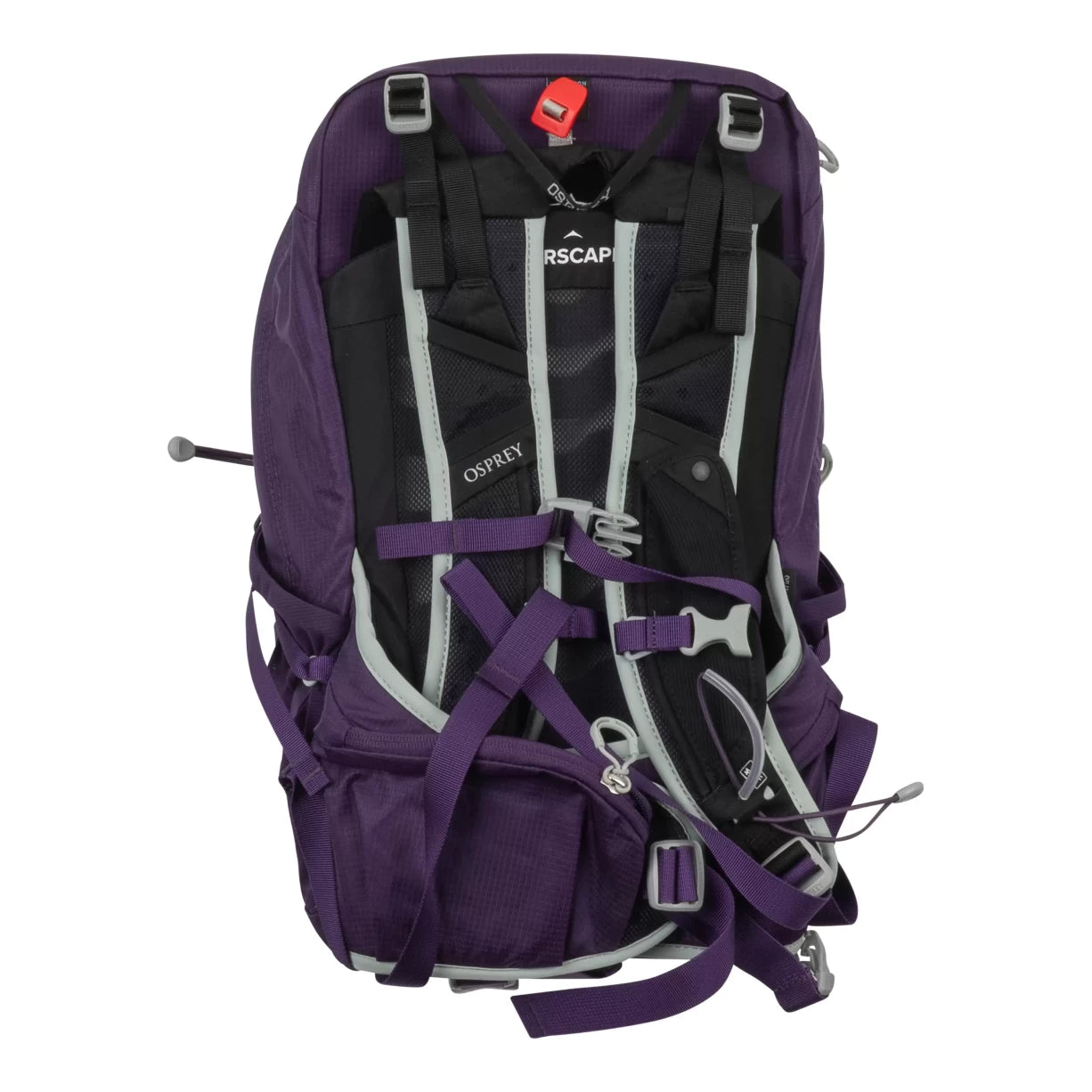 One SizePurple
