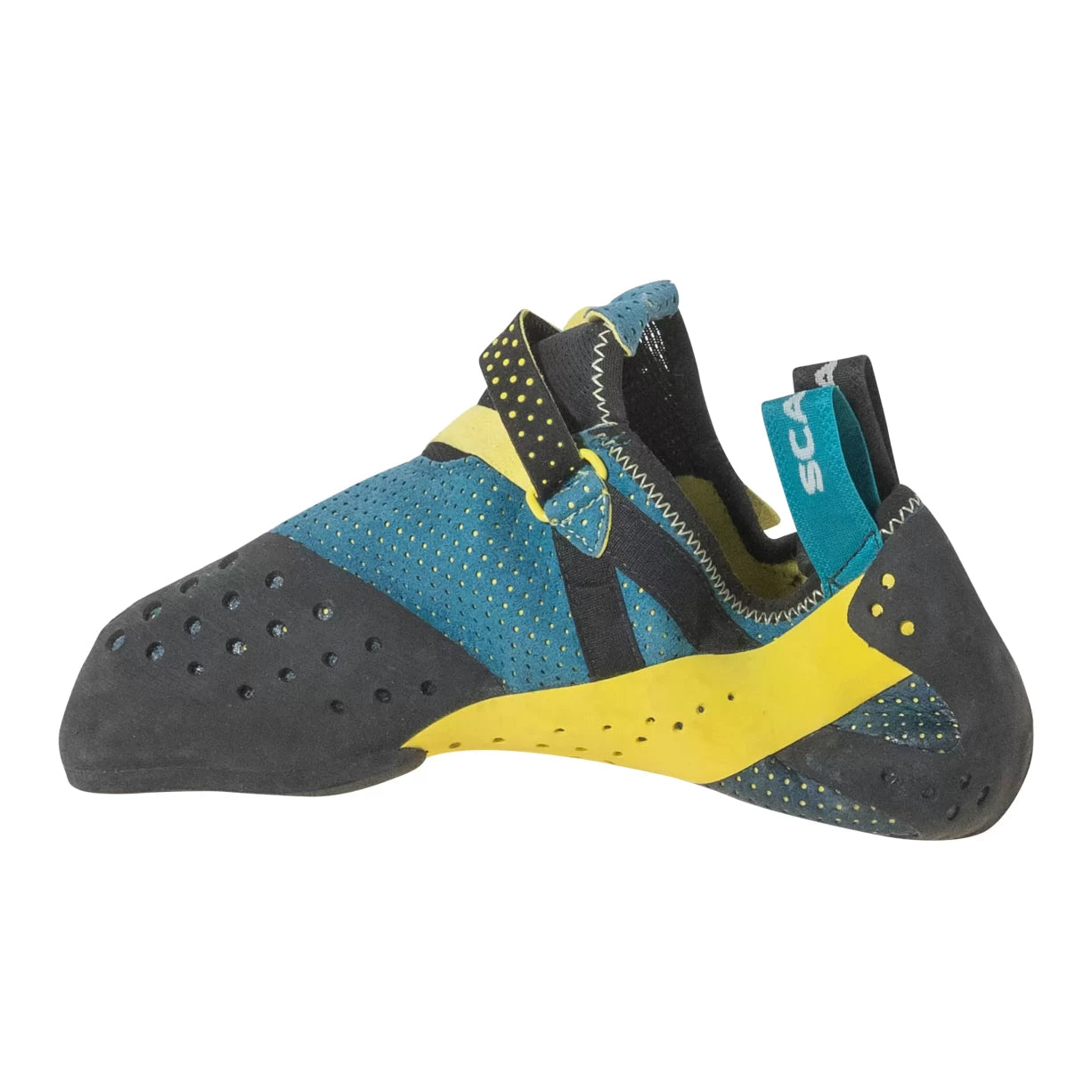 43.5Blue/Yellow