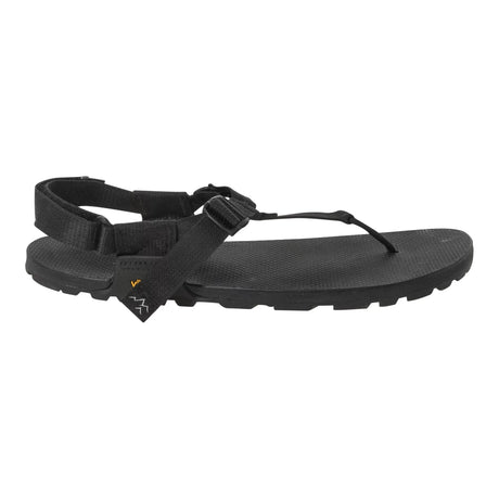 12Black