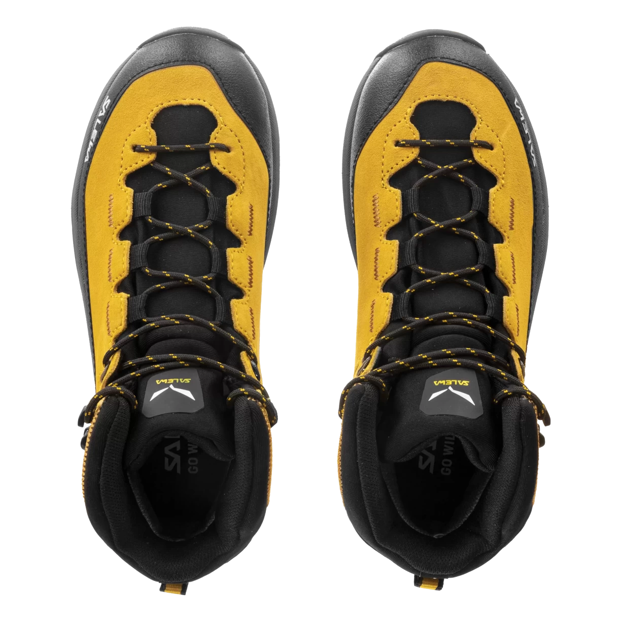 13.5Gold / Gold