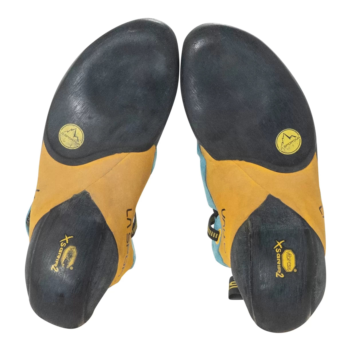 41.5Blue/Yellow