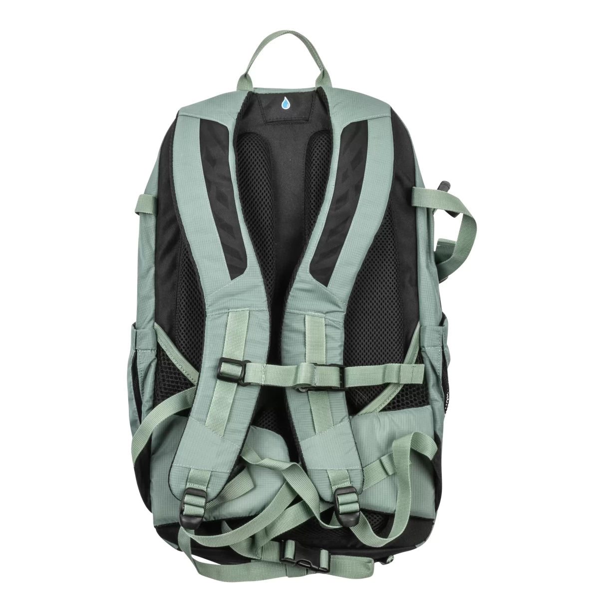 30 LEvergreen