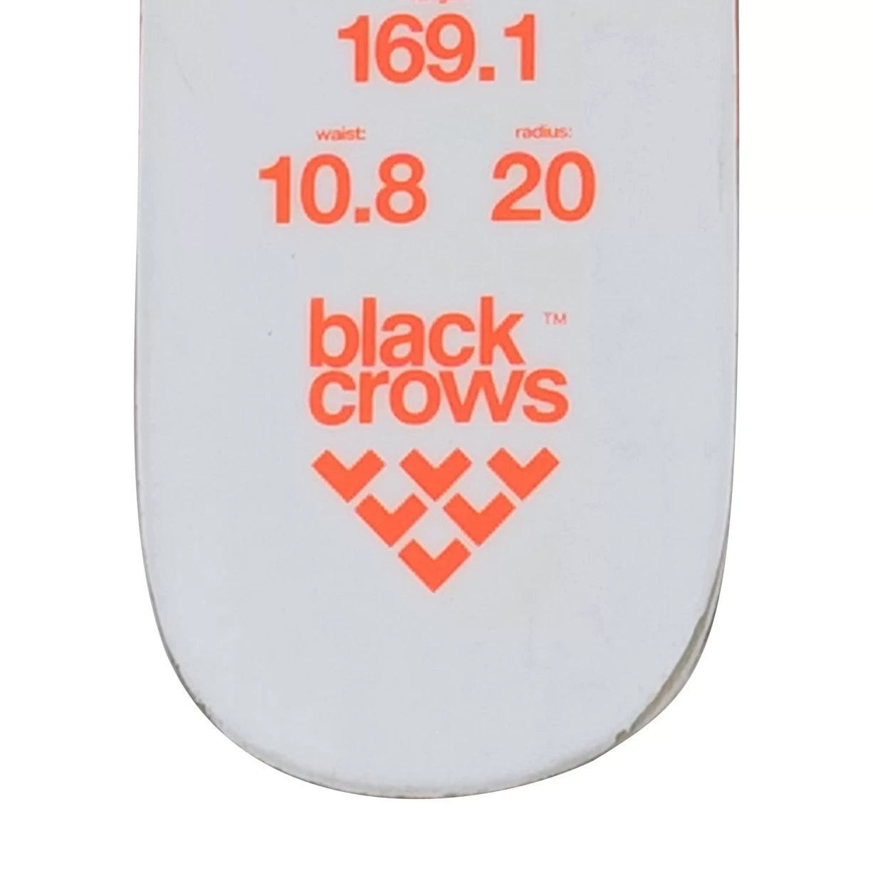 169cmCoral