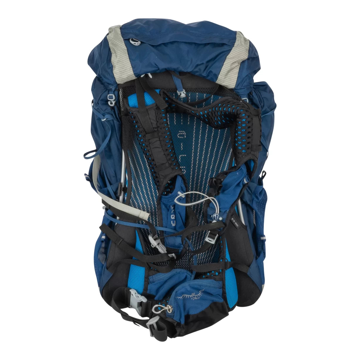 55 LBlue