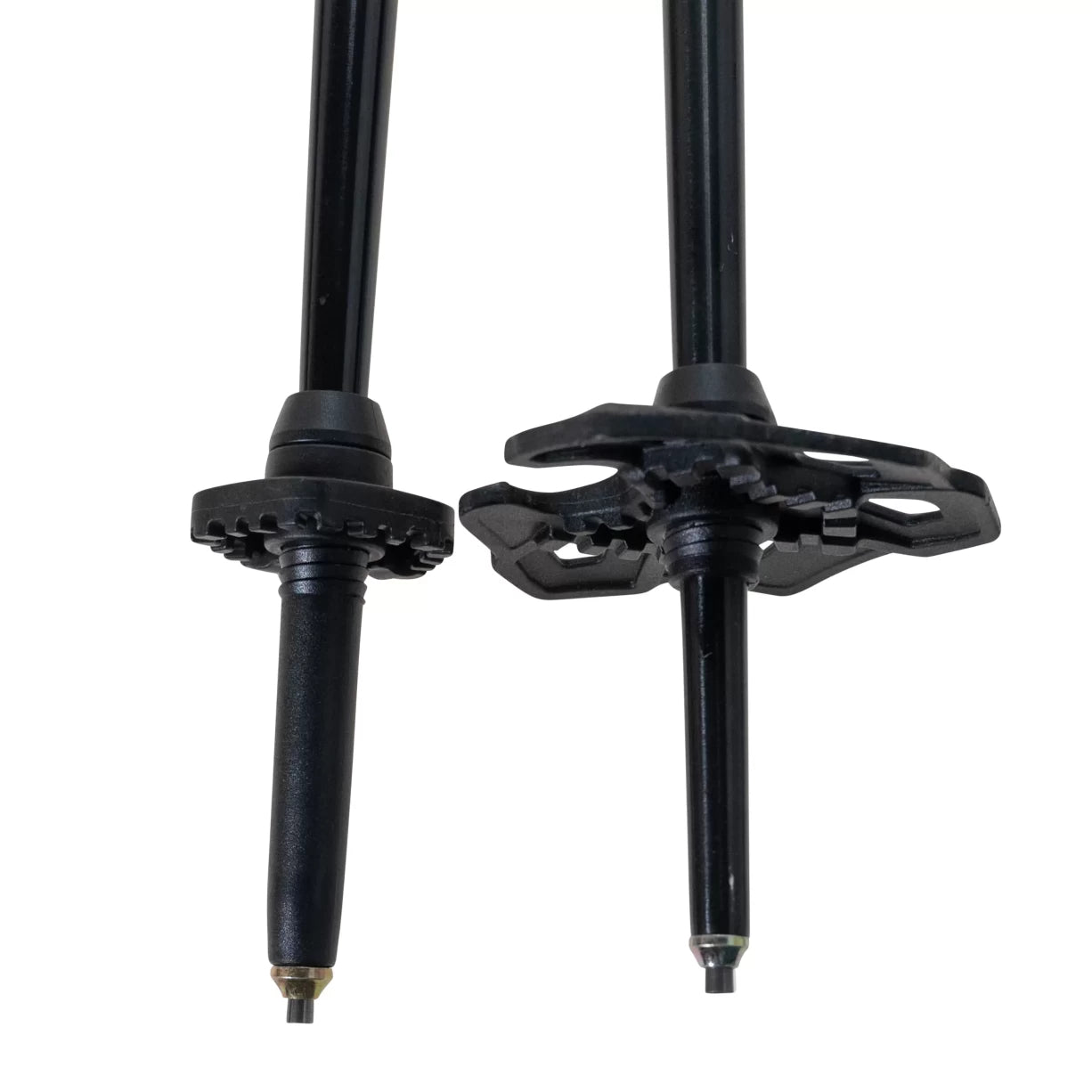LongBlack