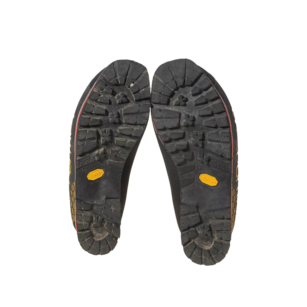40.5Yellow/Black