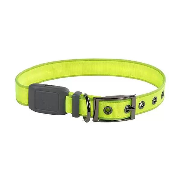 MLime Green