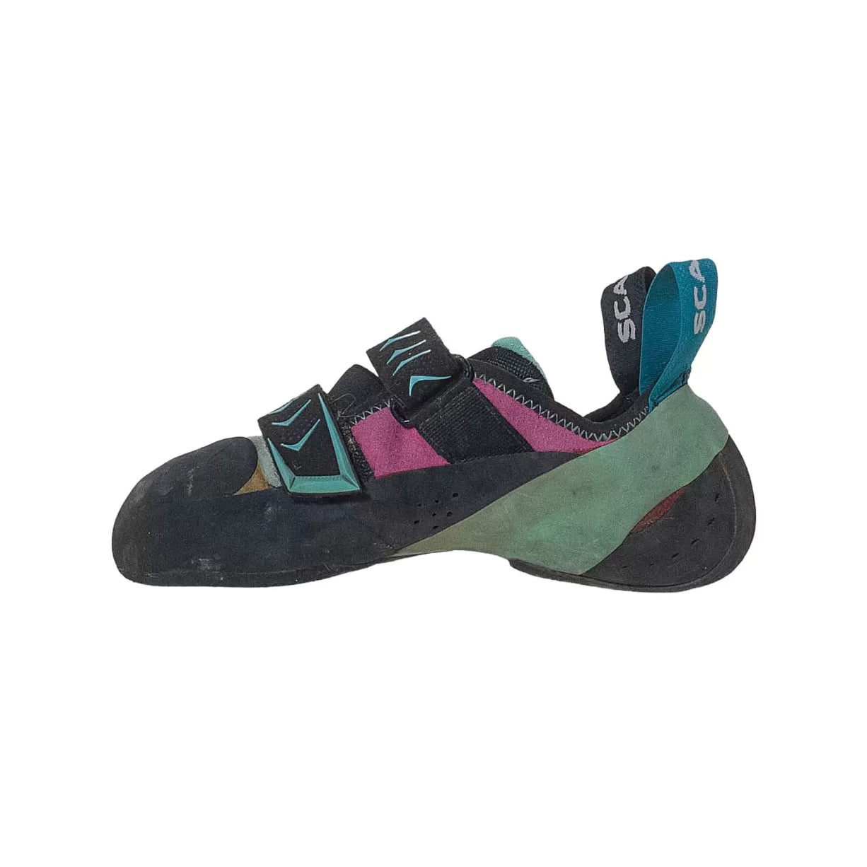 38Blue/ Purple