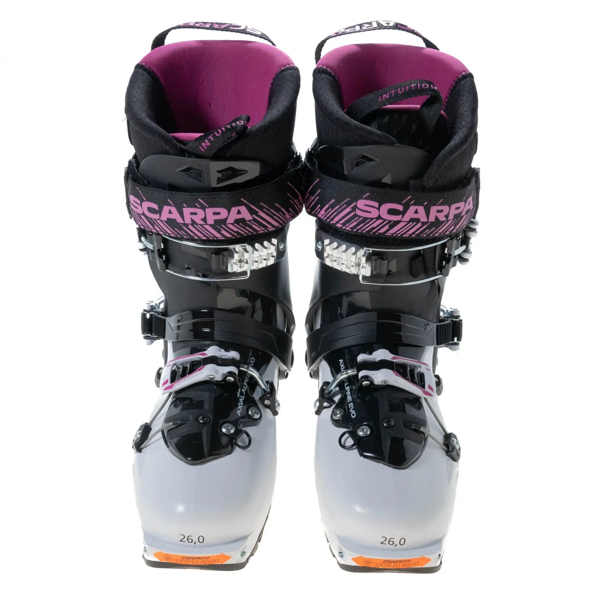 26Purple/Grey