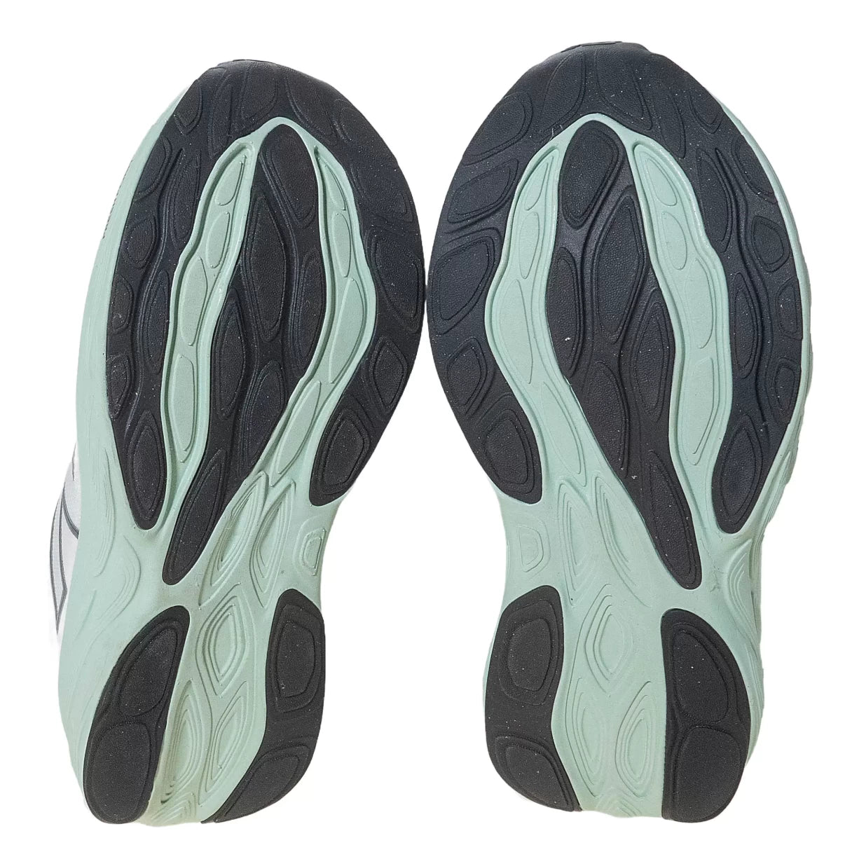 9.5White/Green